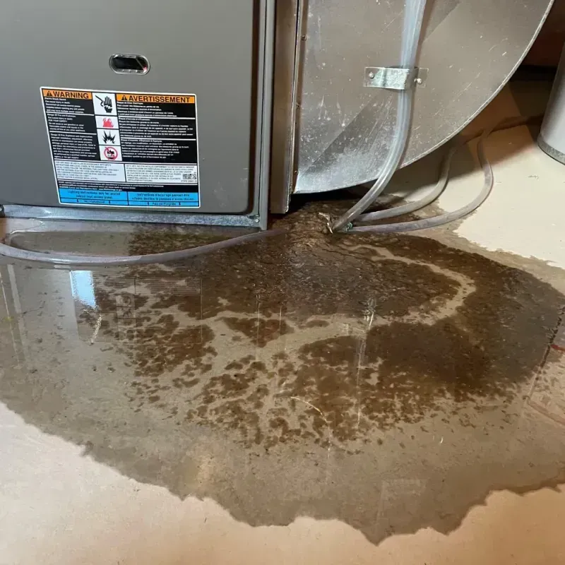 Appliance Leak Cleanup in Jamaica, NY